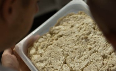 Preferment – sekret puszystości i lekkostrawności